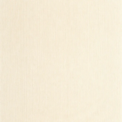 P. PINTADO BORN106011129 "ENVIO GRATIS"