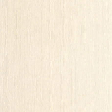 P. PINTADO BORN106011129 "ENVIO GRATIS"