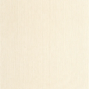 P. PINTADO BORN106011129 "ENVIO GRATIS"