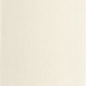 P. PINTADO BORN106011045 "ENVIO GRATIS"