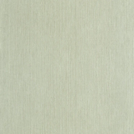 P. PINTADO BORN106017004 "ENVIO GRATIS"