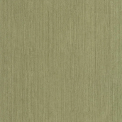 P. PINTADO BORN106017450 "ENVIO GRATIS"