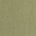 P. PINTADO BORN106017450 "ENVIO GRATIS"