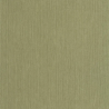 P. PINTADO BORN106017450 "ENVIO GRATIS"