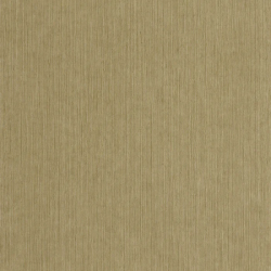 P. PINTADO BORN106017145 "ENVIO GRATIS"