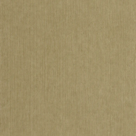 P. PINTADO BORN106017145 "ENVIO GRATIS"