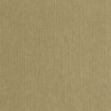 P. PINTADO BORN106017145 "ENVIO GRATIS"
