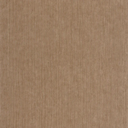 P. PINTADO BORN 106012367 "ENVIO GRATIS"