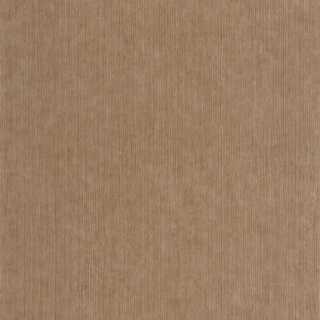 P. PINTADO BORN 106012367 "ENVIO GRATIS"