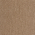P. PINTADO BORN106012367 "ENVIO GRATIS"