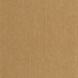 P. PINTADO BORN106012234 "ENVIO GRATIS"