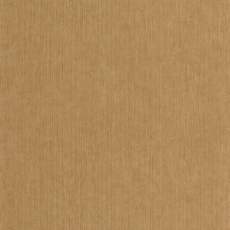 P. PINTADO BORN106012234 "ENVIO GRATIS"