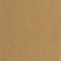 P. PINTADO BORN106012234 "ENVIO GRATIS"