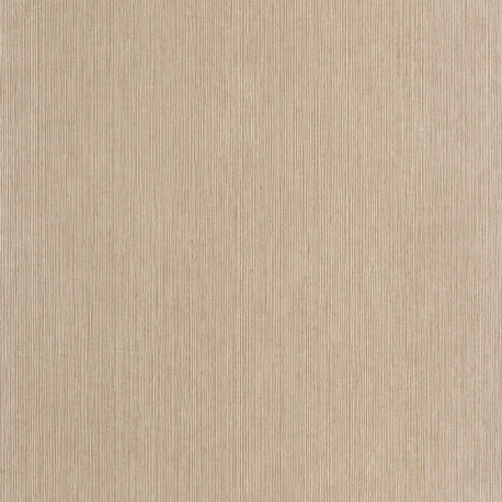 P. PINTADO BORN106012178 "ENVIO GRATIS"