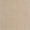 P. PINTADO BORN106012178 "ENVIO GRATIS"