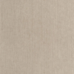 P. PINTADO BORN106011660 "ENVIO GRATIS"