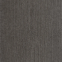 P. PINTADO BORN106019000 "ENVIO GRATIS"