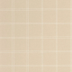 P. PINTADO KBO106751000 "ENVIO GRATIS"