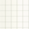 P. PINTADO KBO106757276 "ENVIO GRATIS"