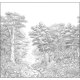 PANORAMICO 265x250 KBO106919037 "ENVIO GRATIS"