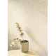 P. PINTADO SENT88091138 "ENVIO GRATIS"