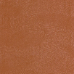 P. PINTADO MATA201133535 "ENVIO GRATIS"