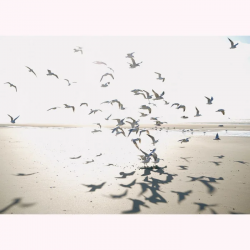 PANORAMICO 400x310 SEAS201531012 "ENVIO GRATIS"