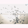 PANORAMICO 400x310 SEAS201531012 "ENVIO GRATIS"