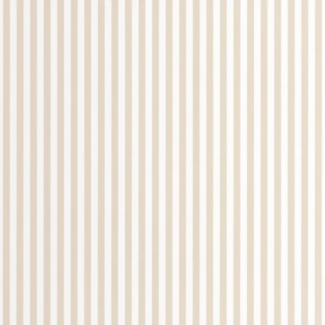 P. PINTADO OUTD29881505 "ENVIO GRATIS"