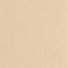 P. PINTADO NEST201001414 "ENVIO GRATIS"